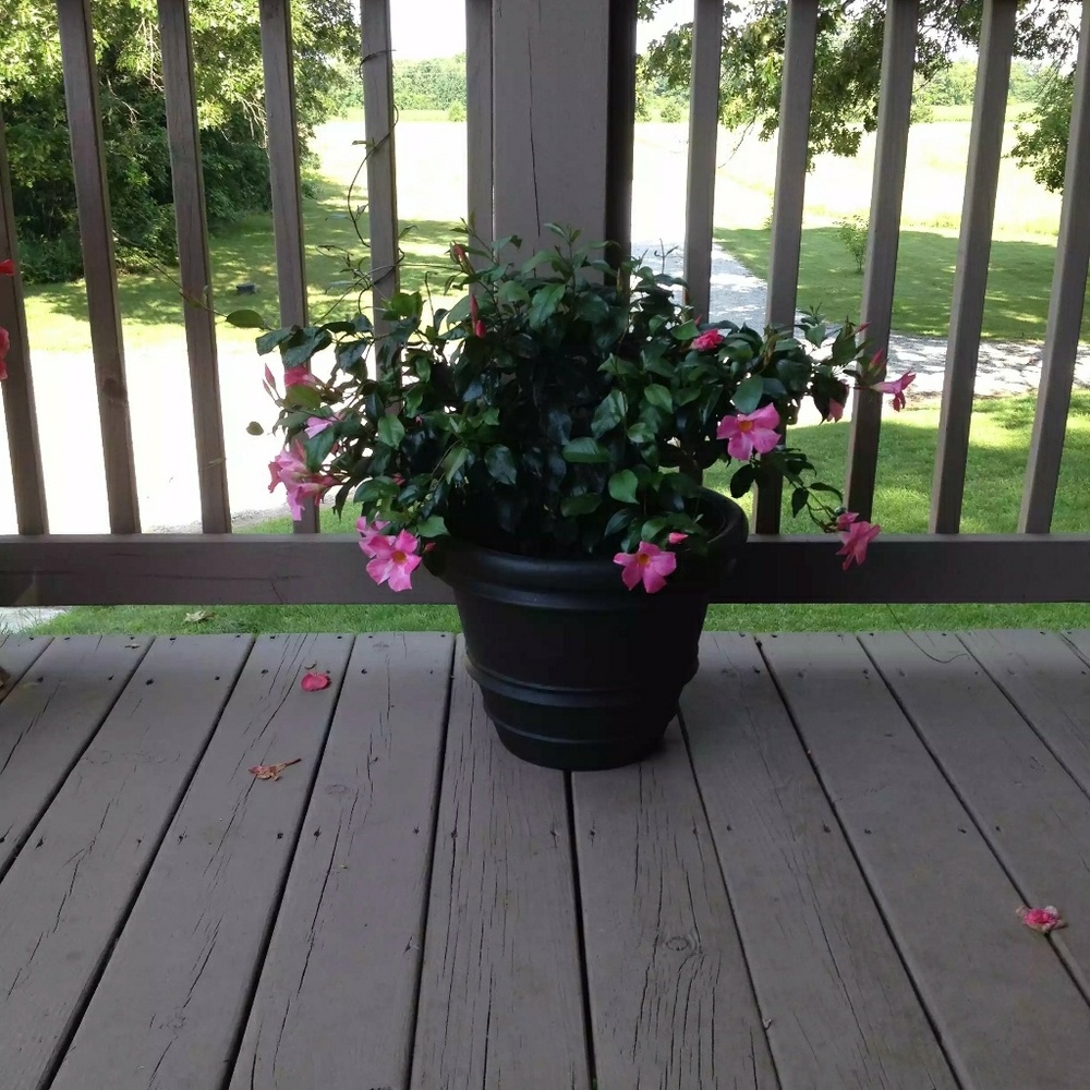 Meet your Posher, Kathleen